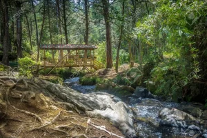 Lee más sobre el artículo Parque Arví